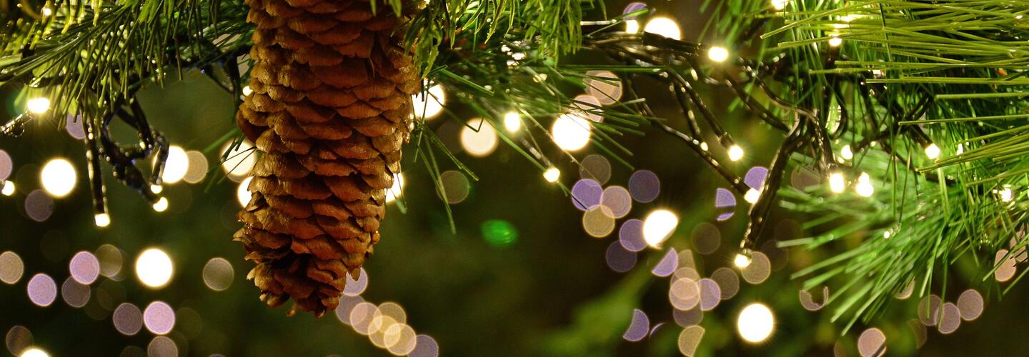 Christmas Xmax Weihnachten Tannenzapfen Lichter Christbaum Pixabay